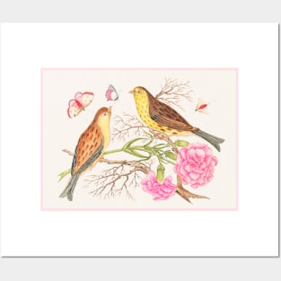 Two Brown and Yellow birds on Branches with Carnations (18th Century) Posters and Art